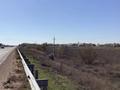 Участок · 2 га, Алатау — А-3 за 267 млн ₸ в Жанаарне — фото 4