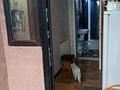 Отдельный дом · 4 комнаты · 52.06 м² · 1163 сот., Модели кожа 19 — Коскудук за 15 млн ₸ в Шу — фото 9