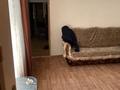 Часть дома · 3 комнаты · 60 м², мкр Кулагер, Омарова 10/3 — Жансугуров Омарова 10 за 28 млн ₸ в Алматы, Жетысуский р-н — фото 5