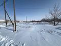 Жер телімі · 25 сотық, Мәншүк Маметова 1197, бағасы: 10 млн ₸ в Уштобе — фото 4
