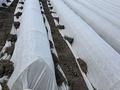 Крестьянское хозяйство · 70000 м², бағасы: 27 млн ₸ в Жибек Жолы