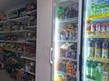 Действующий бизнес · 28 м² за 12 млн ₸ в Астане — фото 3