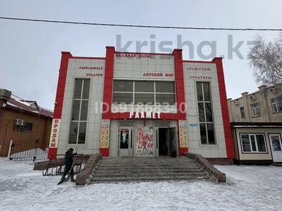 Магазин действующий бизнес · 400 м² за 150 млн ₸ в Акколе