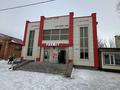 Магазин действующий бизнес · 400 м² за 150 млн ₸ в Акколе — фото 2