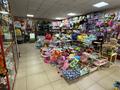 Магазин действующий бизнес · 400 м² за 150 млн ₸ в Акколе — фото 7