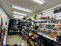 Действующий бизнес — магазин автосвета и автоаксессуаров · 30 м², бағасы: 4.2 млн ₸ в Астане, Алматы р-н — фото 9