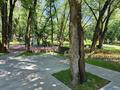 1-комнатная квартира · 30 м² · 1/7 этаж, мкр Ожет, Северное кольцо 86/11 за 19 млн ₸ в Алматы, Алатауский р-н — фото 26
