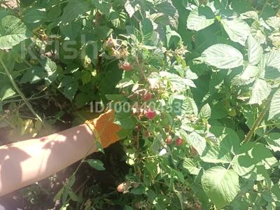 Участок · 3 га, Бескайнар (Горный Садовод) за 250 млн ₸