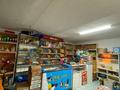 Жеке үй · 4 бөлме · 105.7 м² · 10 жүзд., Абылайхана 19, бағасы: 23 млн ₸ в Уштереке — фото 2