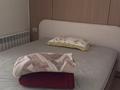 Өнеркәсіптік база · 5 га, Оспанова 11 — Кольцевая дорога на Усть -Каменогорск, бағасы: 350 млн ₸ в Калбатау — фото 5