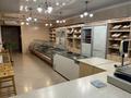 Свободное назначение, общепит, салоны красоты, развлечения · 222.2 м² за 118 млн ₸ в Актобе — фото 2