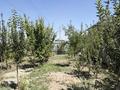 Отдельный дом · 4 комнаты · 130 м² · 5 сот., мкр Боралдай (Бурундай), Аламан 50 — Саина за 100 млн ₸ в Алматы, Алатауский р-н — фото 25