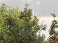 Саяжай · 3 бөлме · 90 м² · 13 сот., Тарханка — Дачный массив, бағасы: 15 млн ₸