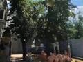 Еркін · 400 м², бағасы: 150 млн ₸ в Костанае, 1-й микрорайон — фото 15