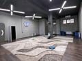 Свободное назначение, конференц-залы, студии · 85 м² за 5 000 ₸ в Алматы, Медеуский р-н — фото 7