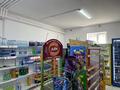 Магазины и бутики • 80 м² за 22 млн 〒 в Актау, 19-й мкр — фото 4