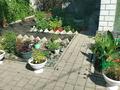 Часть дома · 4 комнаты · 100 м² · 6 сот., Будчанова 65/2 — Зеленстрой, 5 линия за 30.5 млн ₸ в Павлодаре — фото 4