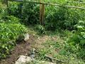 Часть дома · 4 комнаты · 100 м² · 6 сот., Будчанова 65/2 — Зеленстрой, 5 линия за 30.5 млн ₸ в Павлодаре — фото 7