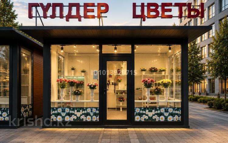 Еркін · 15 м², бағасы: 4.2 млн ₸ в Астане, Сарайшык р-н — фото 16