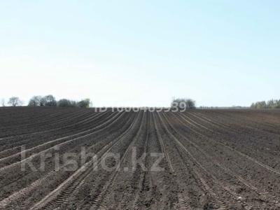 Участок · 11 га, 1 за 320 млн ₸ в 