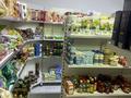 Еркін · 70 м², бағасы: 300 000 ₸ в Астане, Есильский р-н — фото 3