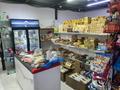 Еркін · 70 м², бағасы: 300 000 ₸ в Астане, Есильский р-н — фото 4
