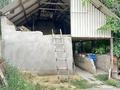 Отдельный дом · 6 комнат · 250 м² · 24 сот., Қарабау 36 за 65 млн ₸ в Шымкенте, Енбекшинский р-н — фото 34