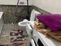 Жеке үй · 4 бөлме · 110 м² · 5 жүзд., Базара Килыбаева 17 — Центра, бағасы: 26 млн ₸ в Асе — фото 8