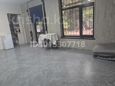 1-бөлмелі пәтер · 50 м² · 1 қабат, Менделеева 51 — Погодина, бағасы: 250 000 ₸ в Алматы, Медеуский р-н