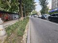 Участок · 5.2 сотки, Желтоксан 102 — Айтеке Би за 500 млн ₸ в Алматы, Алмалинский р-н — фото 60
