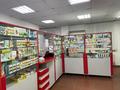 Медцентры и аптеки · 40 м² за 300 000 ₸ в Астане, Сарайшык р-н
