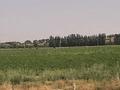 Участок · 12 га, мкр Алтын Орда за 15 млн ₸ в Шымкенте, Каратауский р-н — фото 13