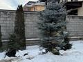 Отдельный дом · 6 комнат · 400 м² · 7 сот., мкр Акжар — ул Береке за 250 млн ₸ в Алматы, Наурызбайский р-н — фото 13