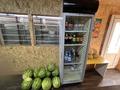 Действующийй продуктовый бутик · 18 м² за 1.3 млн ₸ в Рудном — фото 4