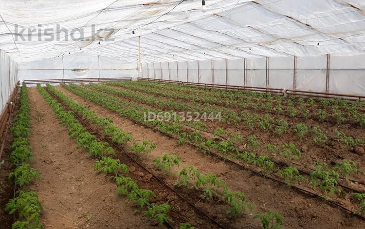 Сельское хозяйство • 600 м² за 12 млн 〒 в Кемертогане — фото 2