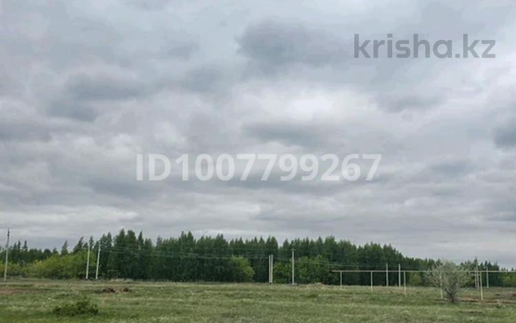 Жер телімі · 10 сотық, Аққайың, бағасы: 15 млн ₸ в Аккайын — фото 9