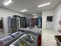 Магазины и бутики · 160 м² за 43 млн 〒 в Актау, 17-й мкр — фото 9