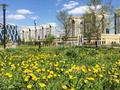 1-комнатная квартира · 45 м² · 10/24 этаж, Куанышбаева( Шабыт ,Пирамида) 11/2 — Байтурсынова за 12 000 ₸ в Астане, Алматы р-н — фото 4