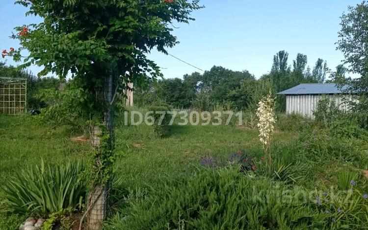 Участок · 2.5 га, Аймен за 50 млн ₸ — фото 18