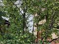 Отдельный дом · 11 комнат · 388 м² · 10 сот., мкр Карагайлы — Выше Ресторана Байтерек за 326 млн ₸ в Алматы, Наурызбайский р-н — фото 46