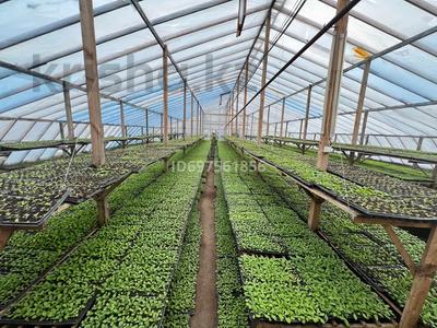 Участок · 5 га, мкр Новый Город — Потанина 40 за 100 млн 〒 в Караганде, Казыбек би р-н