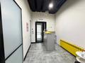 Еркін · 167 м², бағасы: 1.1 млн ₸ в Астане, Сарайшык р-н — фото 8