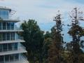 1-комнатная квартира · 52 м² · 2/7 этаж, Green Cape 1 за 39.5 млн ₸ в Батуми