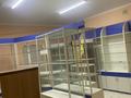 Медцентры и аптеки · 200 м² за 35 млн ₸ в Батыре — фото 4