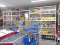 Свободное назначение, магазины и бутики · 42.9 м² за 15 млн ₸ в Кокшетау — фото 8