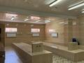 Общественнная Баня · 500 м², бағасы: 132 млн ₸ в Актобе — фото 17
