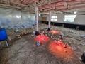 Сельское хозяйство · 800 м² за 300 000 ₸ в  — фото 7