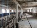 Сельское хозяйство · 800 м² за 300 000 ₸ в  — фото 4