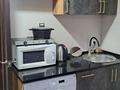 1-комнатная квартира · 18 м² · 2/5 этаж, Тынышбаева 1 за 135 000 ₸ в Алматы, Турксибский р-н — фото 4