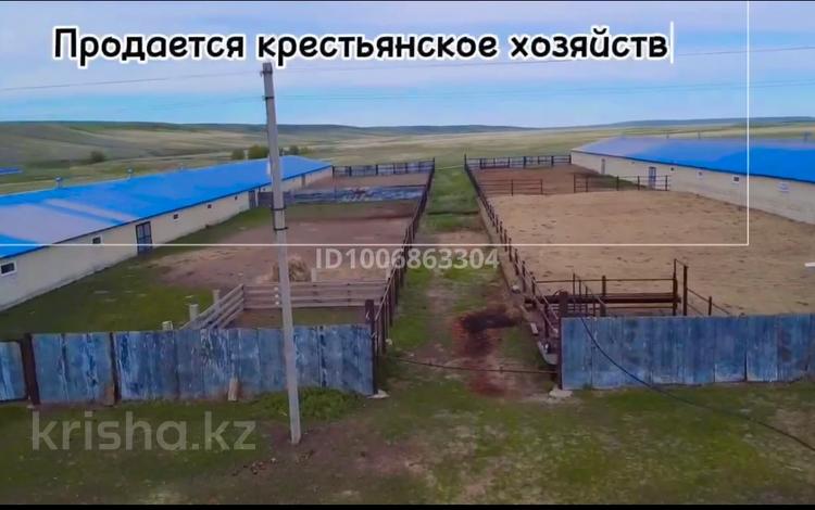 Крестьянская хозяйство · 8000 м², бағасы: 300 млн 〒 в Актобе — фото 2